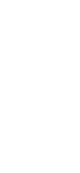 Zapl1sek
