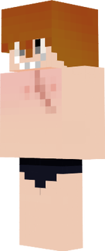 boxer
