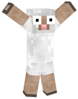 sheep 
