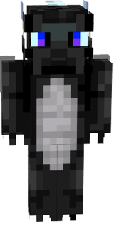 The END