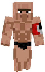 mc villager
