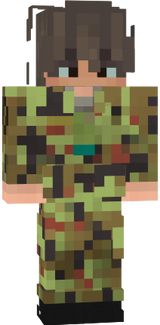 sõjaväes