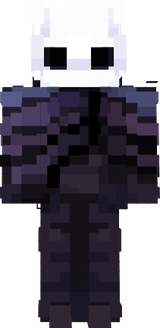 hollow knight