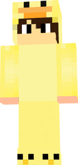 minecraft kostüm