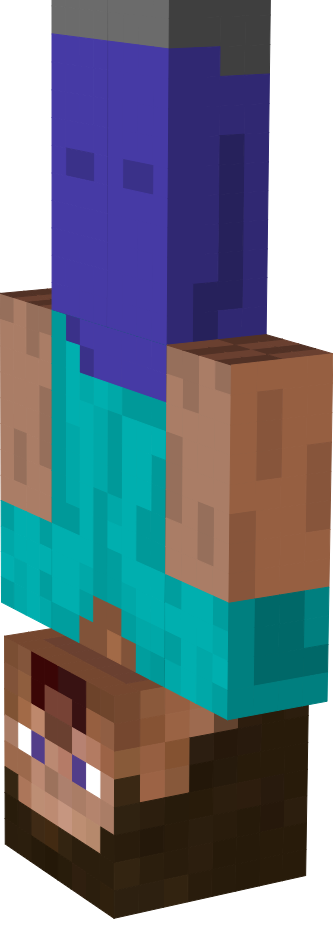 Preview of texture: I AM STEVE.