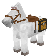 Cute White Horse
