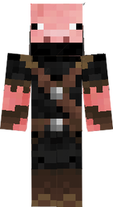 PiD_Hero