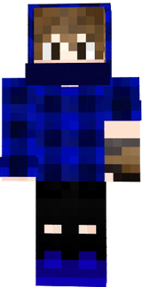 n3varius dsl