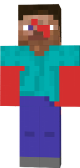 steve lost