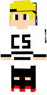 StaylerX