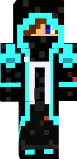 Ninjask0202