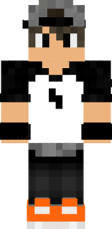 Skin