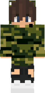 Skin Lifecraft
