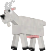 chevre
