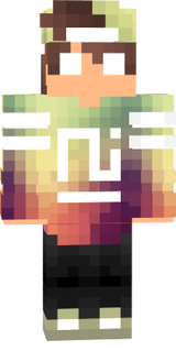 skin minecraft 