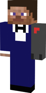 Steve Agent