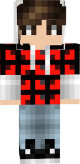MC Skin