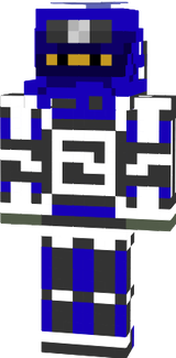 Ninja Robot