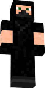 The Reptile Ninja 