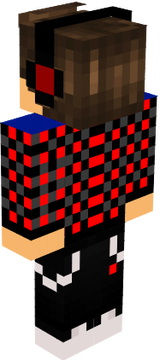 skin
