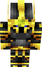 se5y