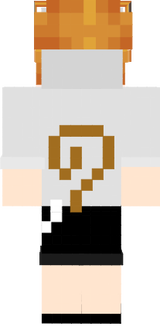 SkyKung