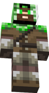 skin