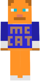 minecraft cat skin