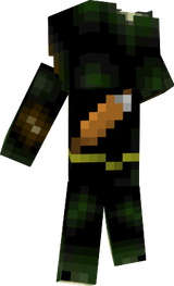 Experienced Archer
