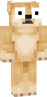 www