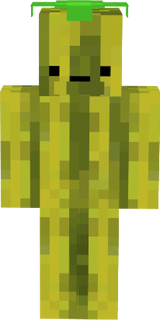pp