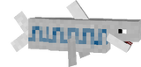 shark