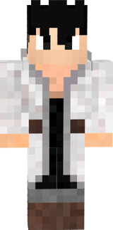 Flashreverso1234
