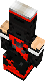 Ninja