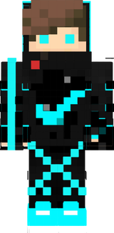 skin 2