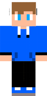 skin