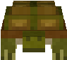 żółw