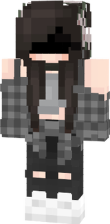 12099613