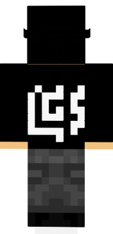 LCSgamer2