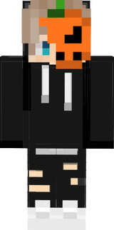 Skinreihe1