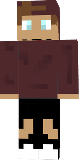 skiník