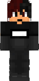 Nexteer_ Potizeru