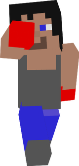 İşçi steve