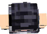 v1