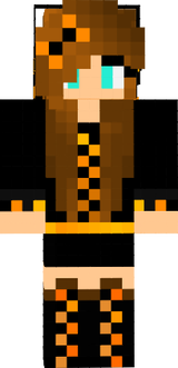 CatFox11144