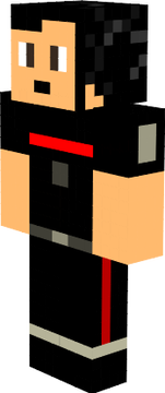 elytra