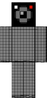 Chap4Cam (Discret)