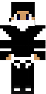 ninja gaide