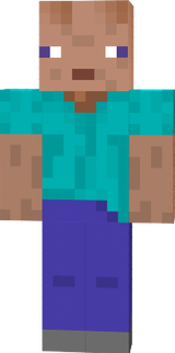 Steve meme