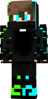skin